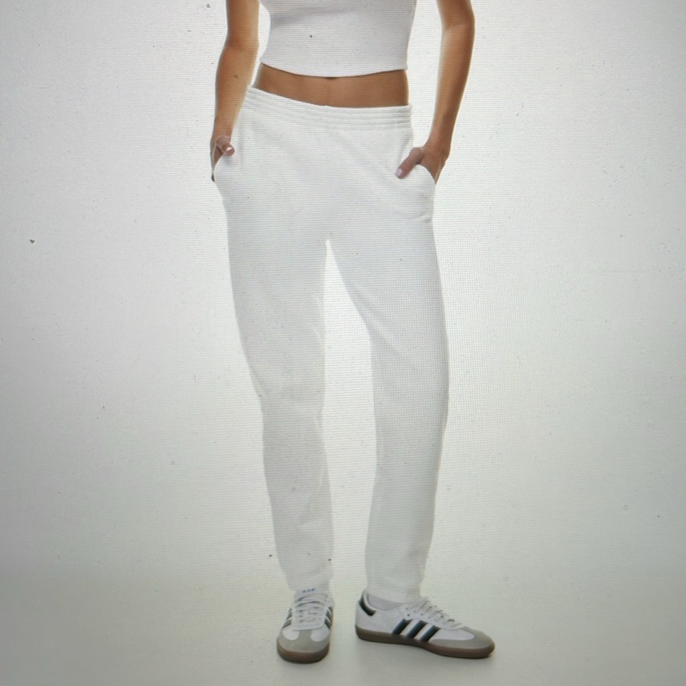 ARITZIA Cozy Fleece Perfect Sweatpant